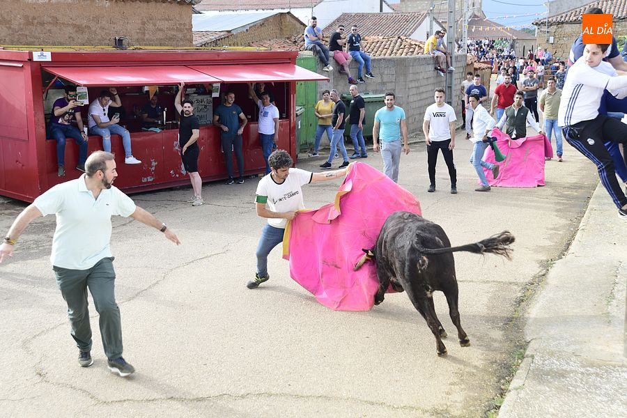 Cabrillas vive al máximo sus fiestas en honor a San Isidro Labrador