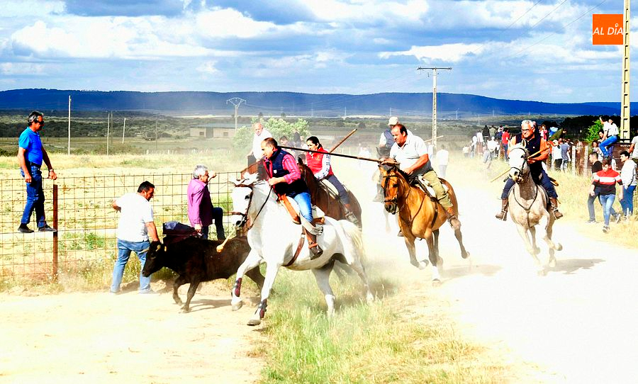 Deslucido encierro a caballo en Carpio de Azaba al entrar solo dos de las vacas en el coso taurino