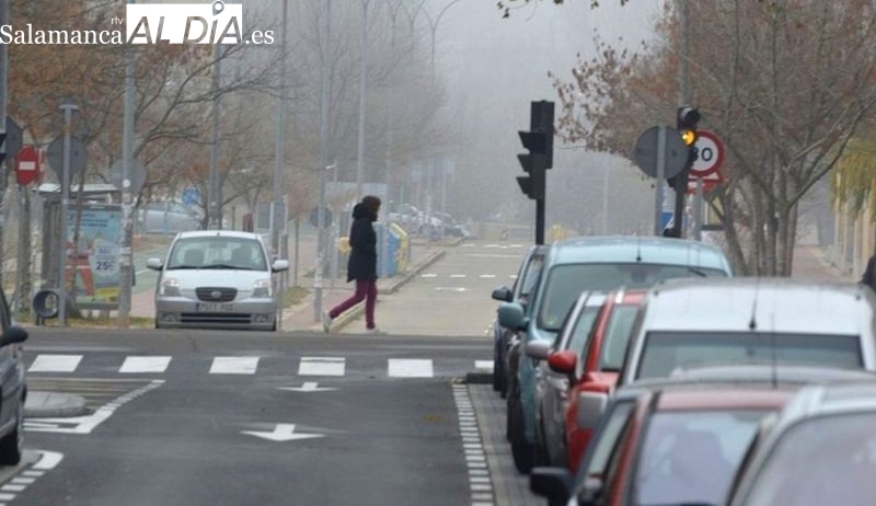 El motivo por el que Salamanca ha reducido un 70% los atropellos
