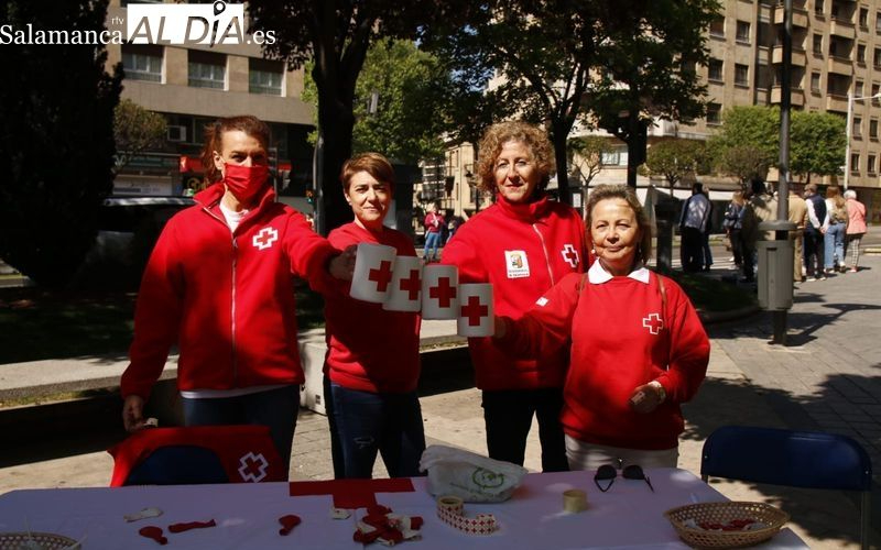 Cruz Roja anuncia la recaudación del Día de la Banderita