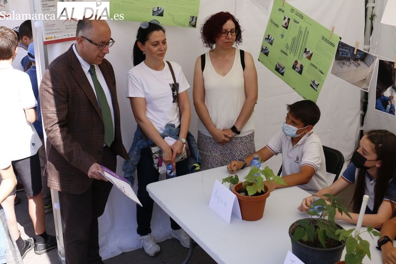 Escolares salmantinos muestran sus inquietudes investigadoras en la primera Feria de la Ciencia