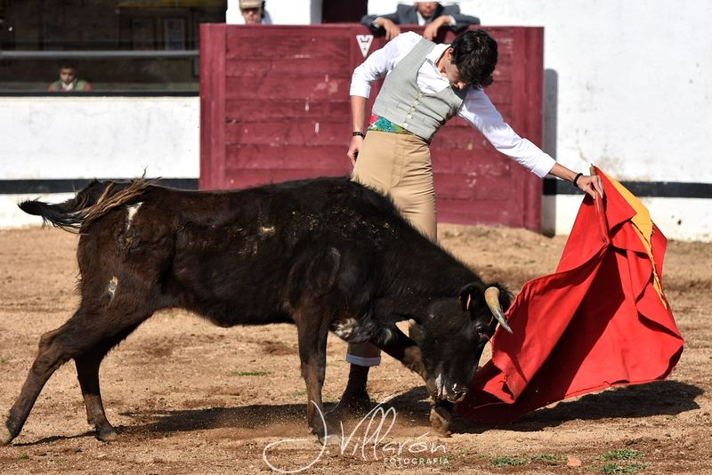 Arranca el V Bolsín Taurino Botijo de Filigrana