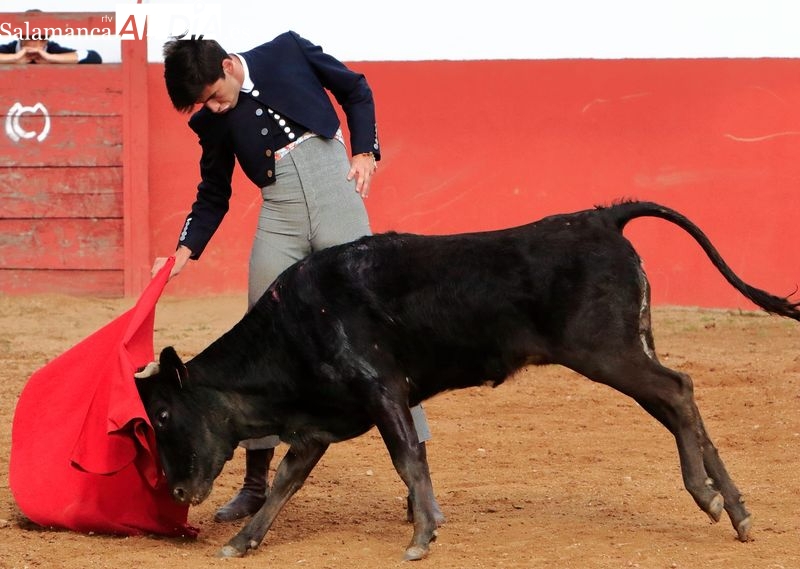 Segunda eliminatoria del V Bolsín Taurino Botijo de Filigrana