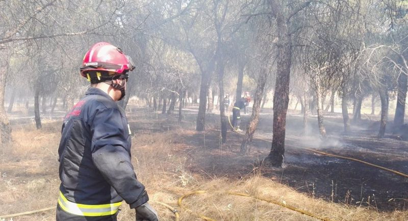 Castilla y León, en peligro medio de incendios por segundo fin de semana consecutivo 