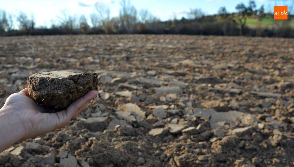 ¿El cambio climático podría ser la causa de la próxima pandemia?