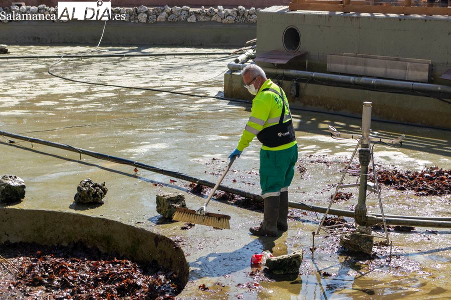 El PSOE de Salamanca apoya a los operarios del servicio de limpieza en su petición de aumento salarial