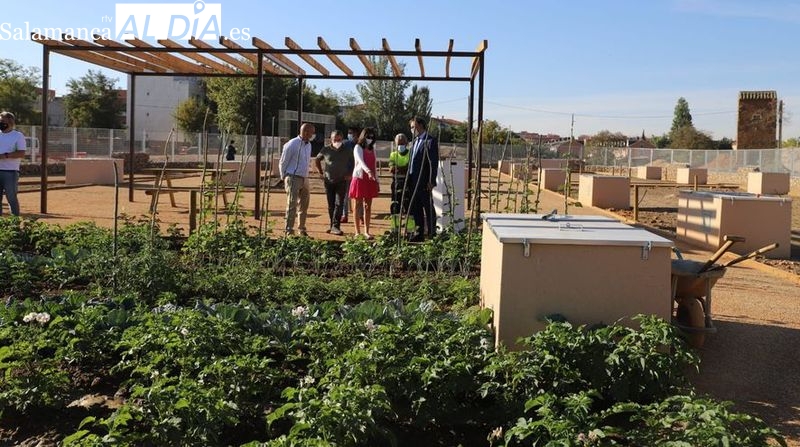 Sesión gratuita para aprender a crear y mantener pequeños huertos domésticos