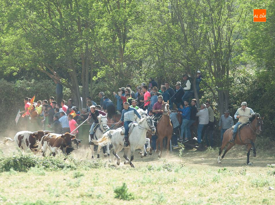 Águeda fletará autobuses para disfrutar de unas fiestas con dos sesiones taurinas