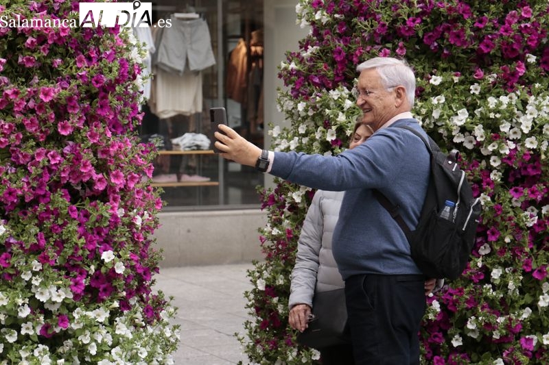 La invasión de las flores, con más de 40.000 plantas, llega a Salamanca