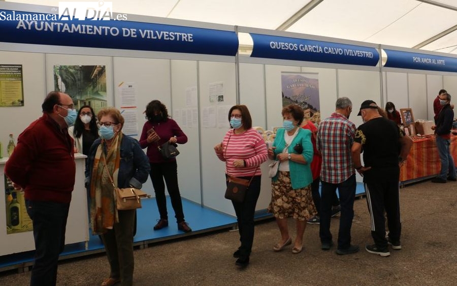 Vilvestre vivirá este sábado una Feria del Olivar muy cultural