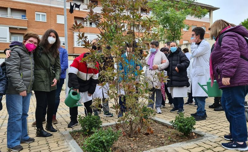 Mejoras en las zonas ajardinadas de tres plazas salmantinas