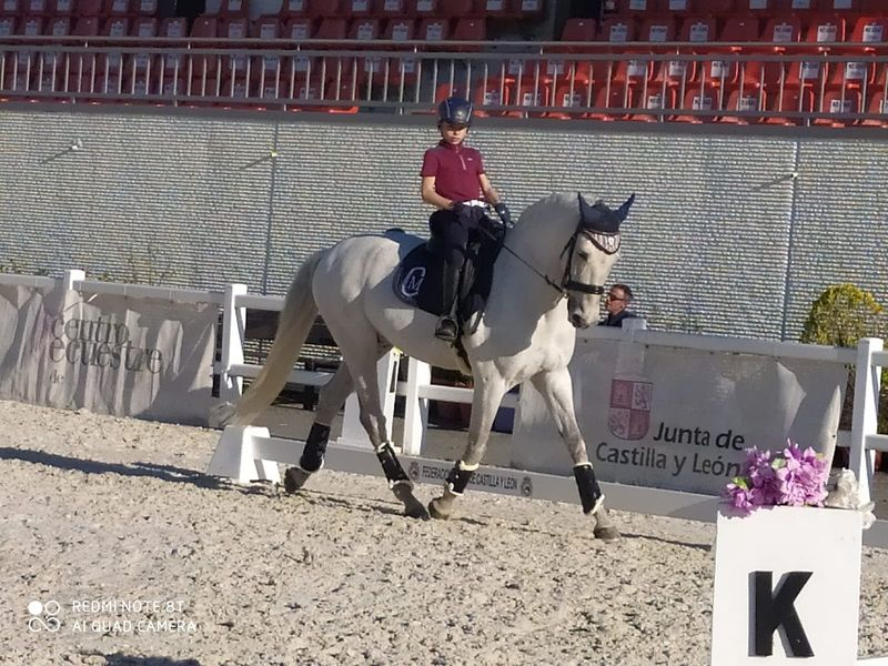Manuel Crespo se clasifica para la final del Campeonato de España de Doma Clásica