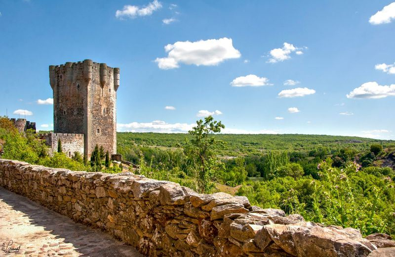  Luz para el optimismo