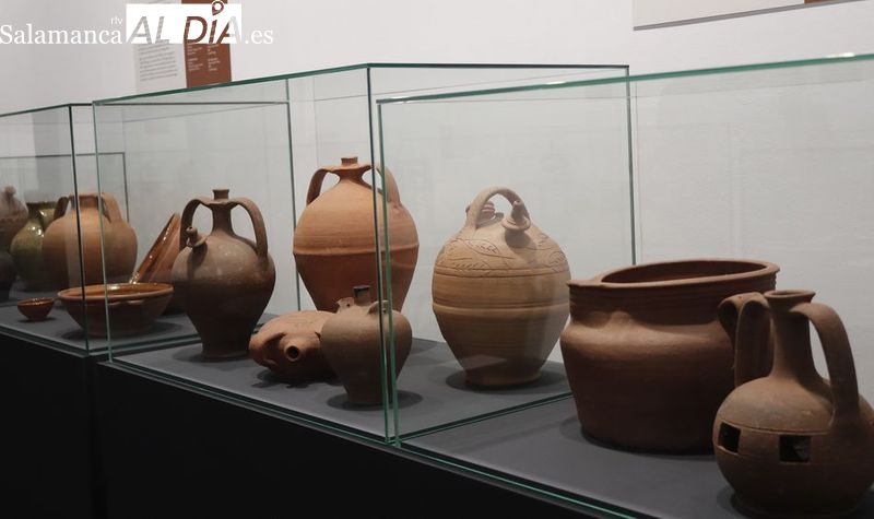 La oportunidad para descubrir las colecciones del Museo de Salamanca