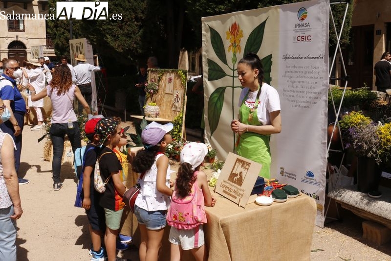El primer ‘Mercado de Flores’ de Salamanca transforma la plaza de la Libertad
