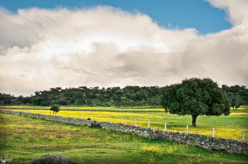 Por un hermoso futuro