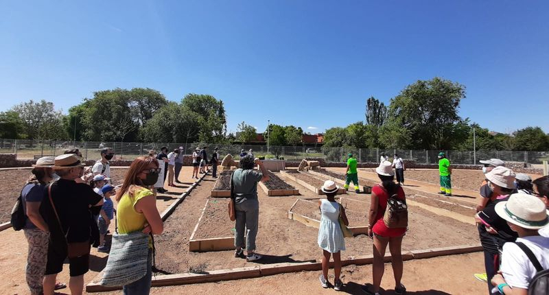 ¿Te gustaría conocer las utilidades de las plantas?