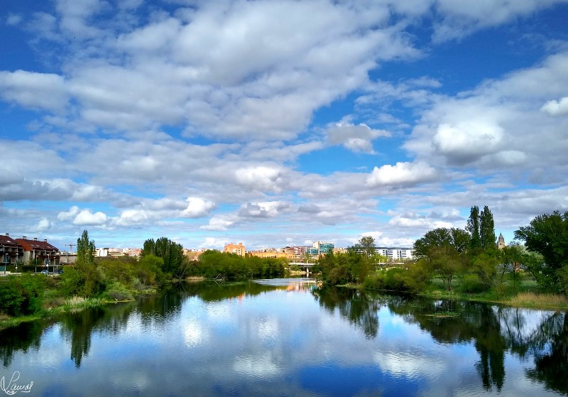 El deleite de alzar la mirada