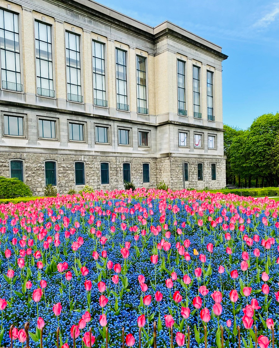Ay pena, penita, pena