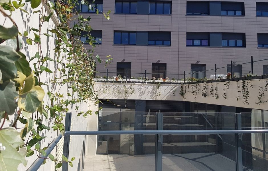 La exposición Paisajes salmantinos pretende concienciar sobre la espondilitis anquilosante