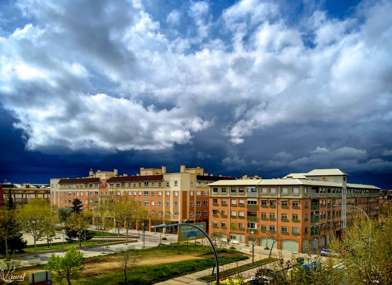 La vida en la Tierra