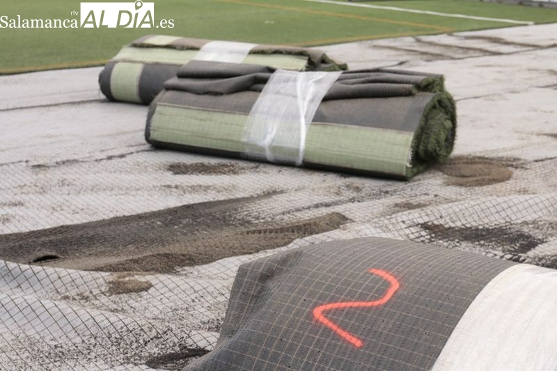 El Reina Sofía ya está más cerca de ser natural