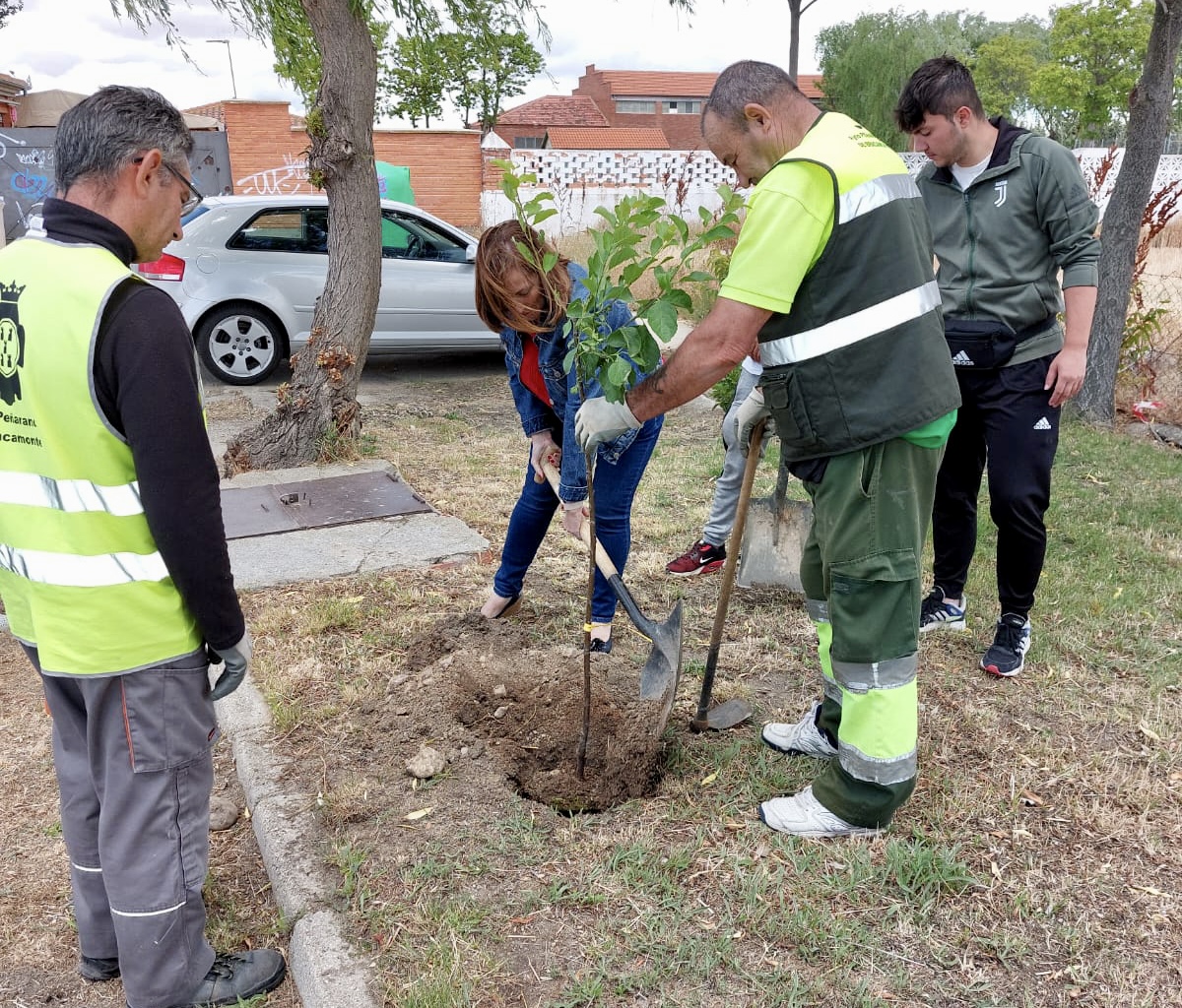 El proyecto Arbolar organiza la plantación de mas de 30 arboles en Peñaranda