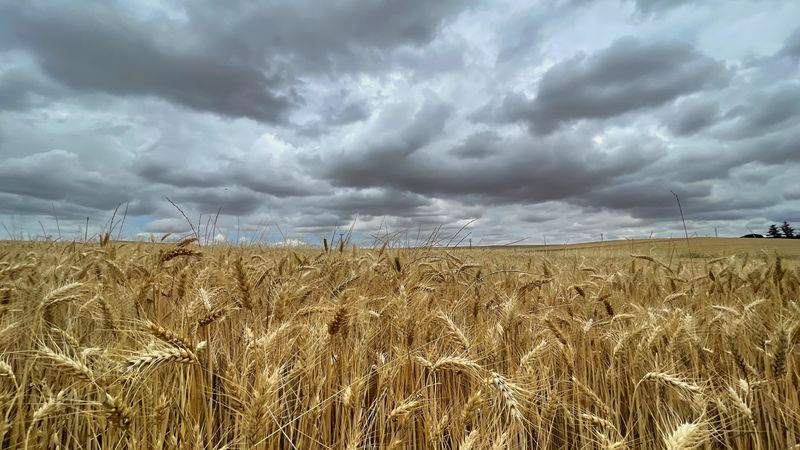 Amenazante atmósfera