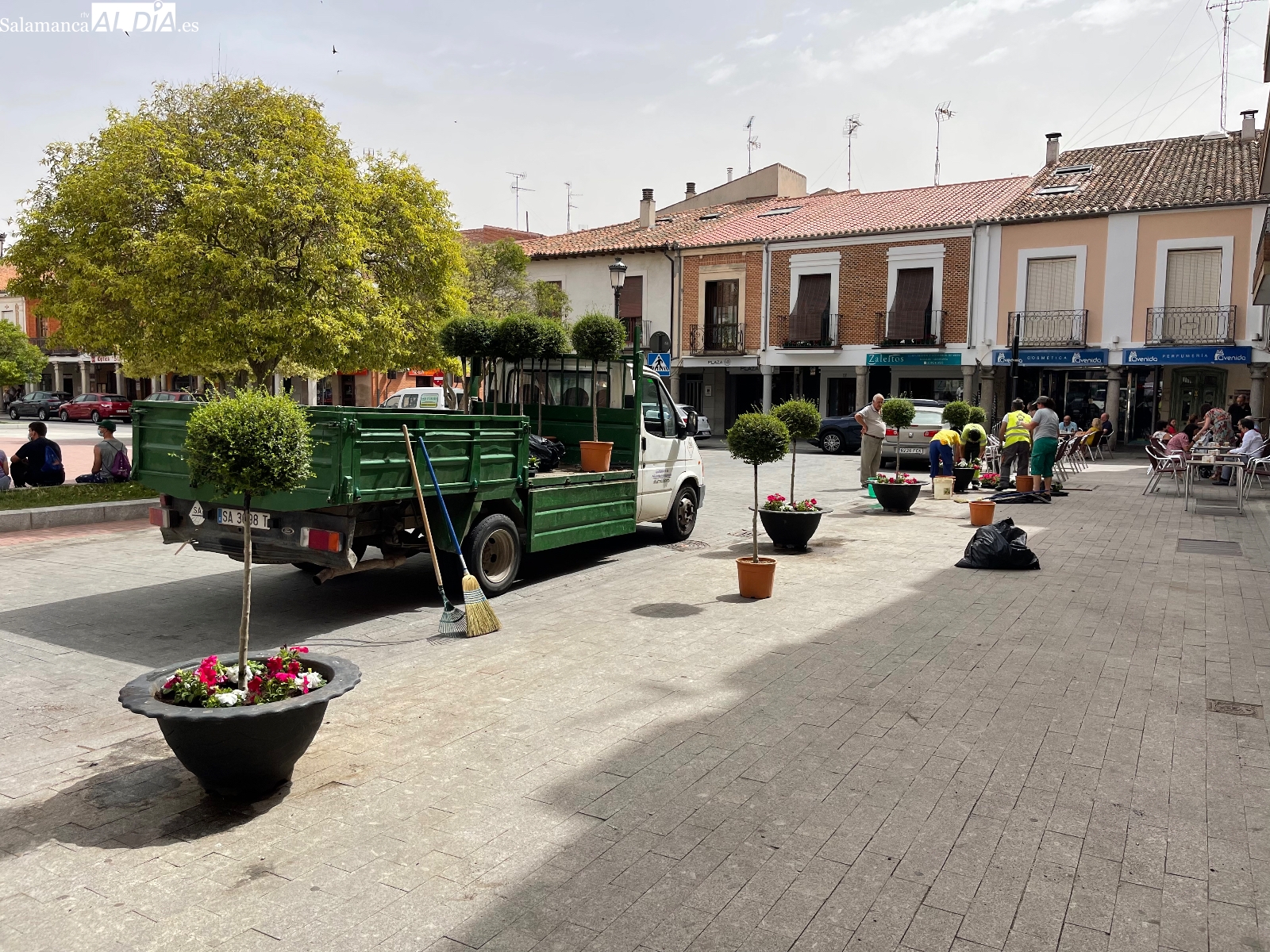 El Ayuntamiento mejora los espacios florales de la Plaza de España