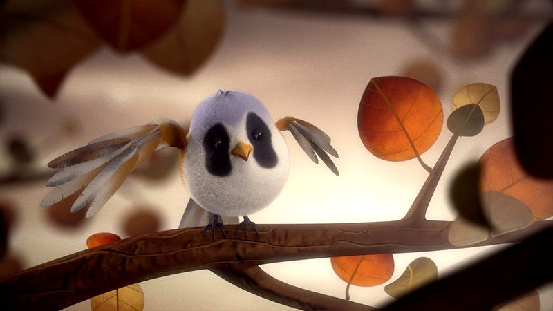 Segunda sesión de proyecciones del Festival de Cine Corto de Verano