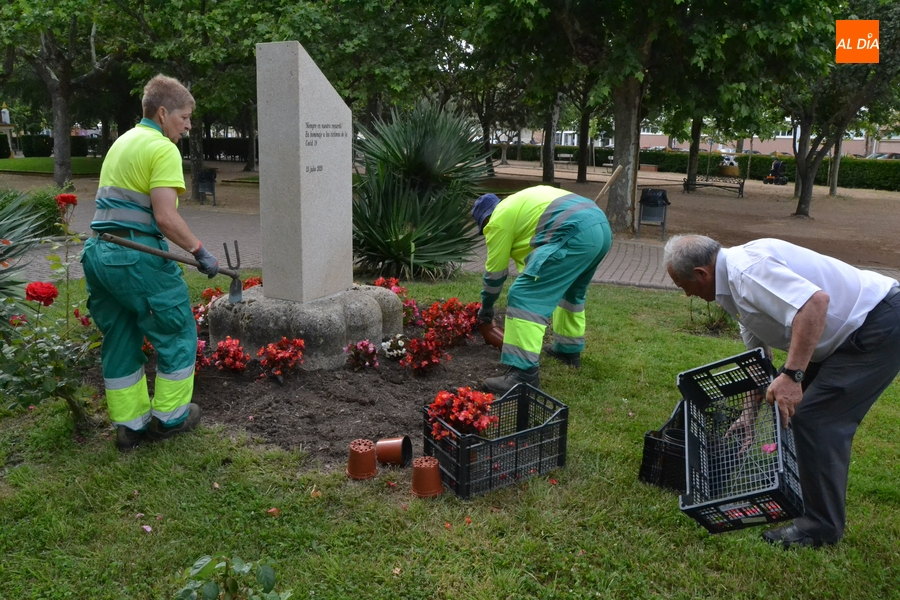 Nueva semana, nuevas plantas, nuevos árboles