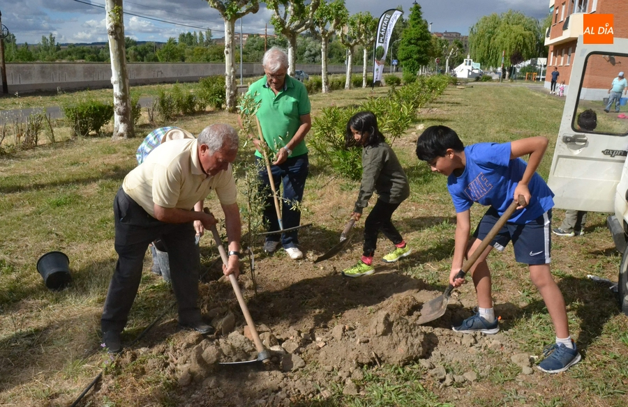 Cinco localidades de la comarca plantan nuevos árboles frutales para mejorar la biodiversidad