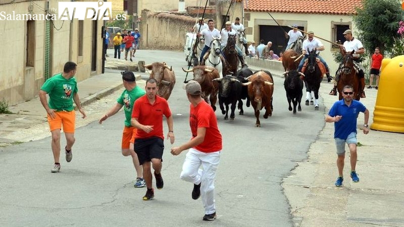 El Apartado de la corrida abre este sábado las Fiestas de San Juan de Hinojosa de Duero