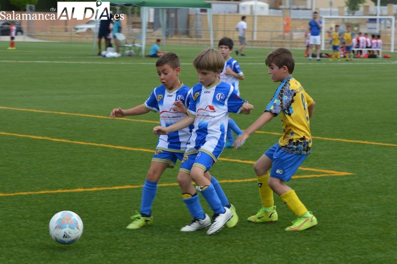Cerca de 500 niños disfrutan con el primer torneo de fútbol base Fiestas del Corpus del Cabrerizos