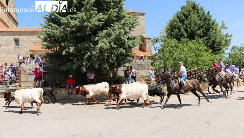 El Ayuntamiento de Bogajo presenta un completo programa para recuperar las fiestas de San Juan