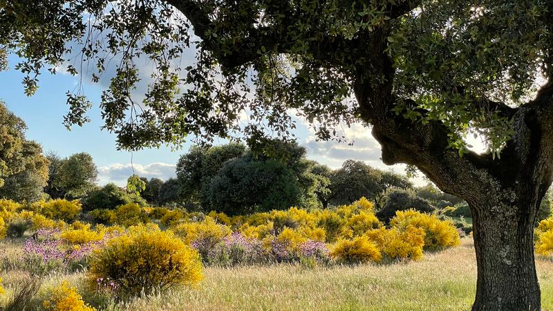Estertores de la primavera