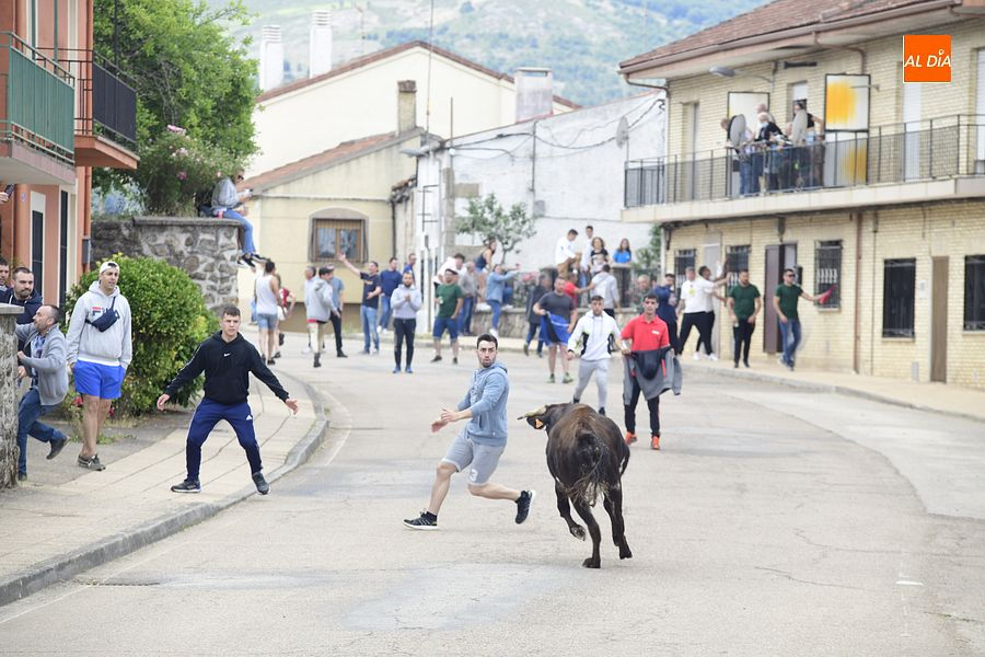 Animada capea para despedir las fiestas de San Juan 