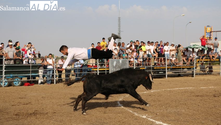 Festejos taurinos, coches-locos, verbenas y actos religiosos centran las fiestas de Villar de Peralonso