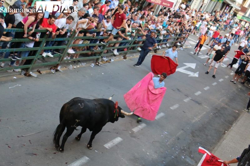 El VI Toro de Cajón del pre-Corpus deja un herido por asta de toro en Vitigudino