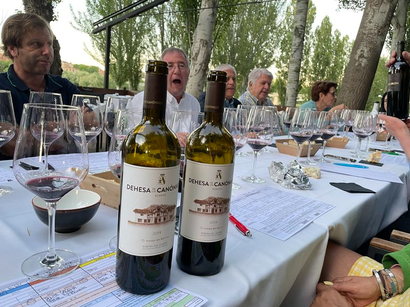 Dehesa de los Canónigos 2019, antes uvas que cubas