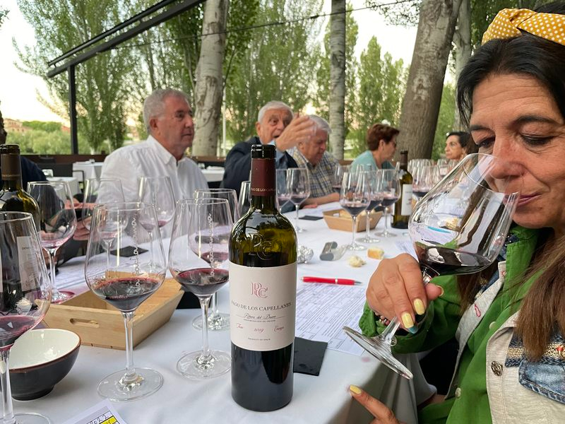 Pago de los Capellanes 2019, el fruto de la perseverancia