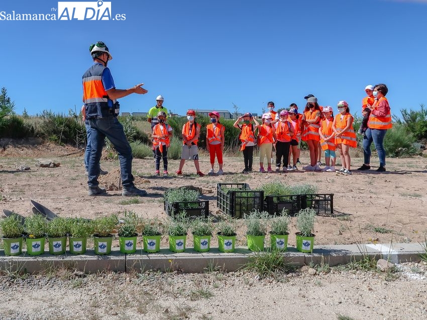 Los escolares de Barruecopardo plantan árboles en la mina de Saloro