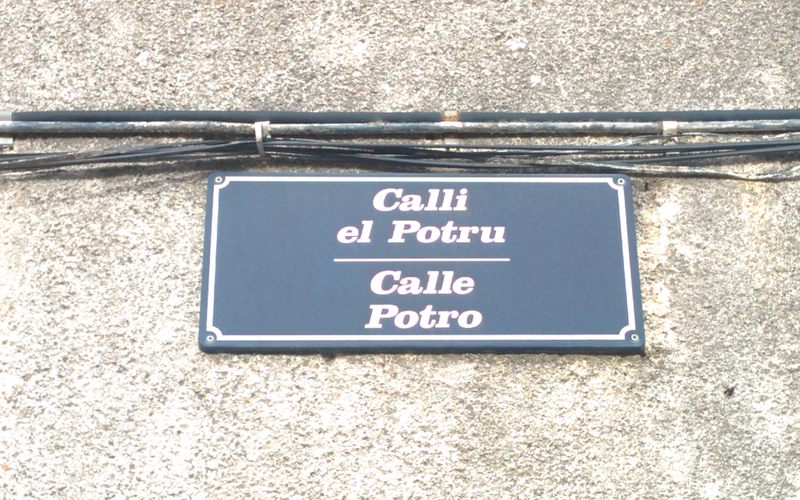 UPL considera un desprecio que la Junta imposibilite la enseñanza del leonés y la cultura leonesa en el sistema educativo