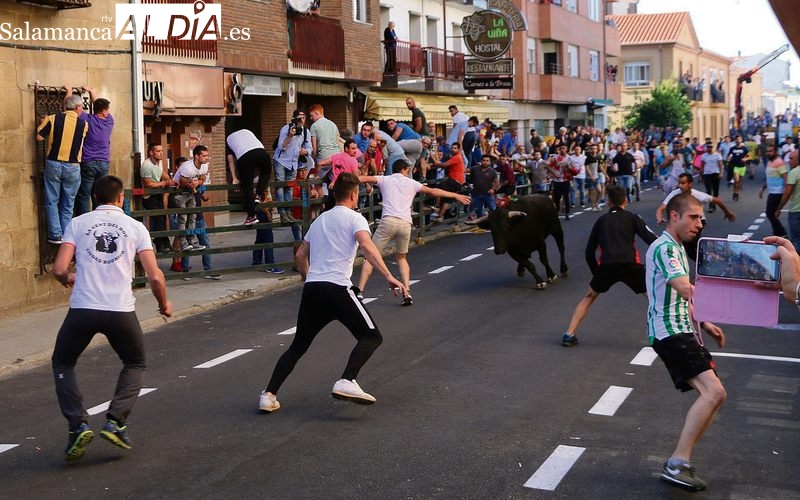 Fiestas del Corpus en Vitigudino, celebraciones con un sabor eminentemente taurino  