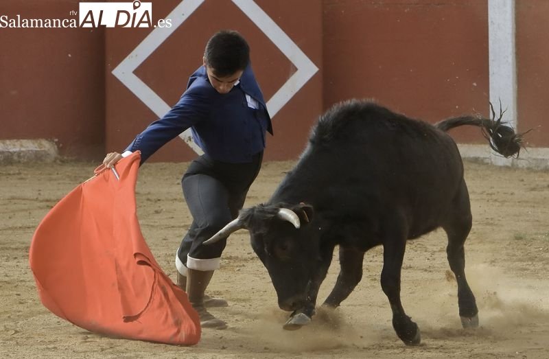 Desvelados los finalistas del V Bolsín Taurino Botijo de Filigrana