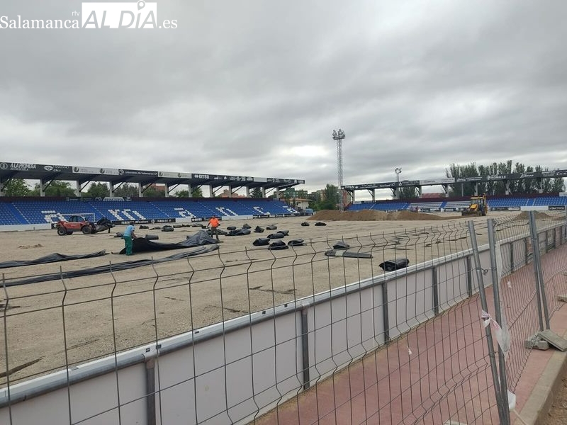 El Reina Sofía sigue mudando la piel para que Unionistas juegue en césped natural