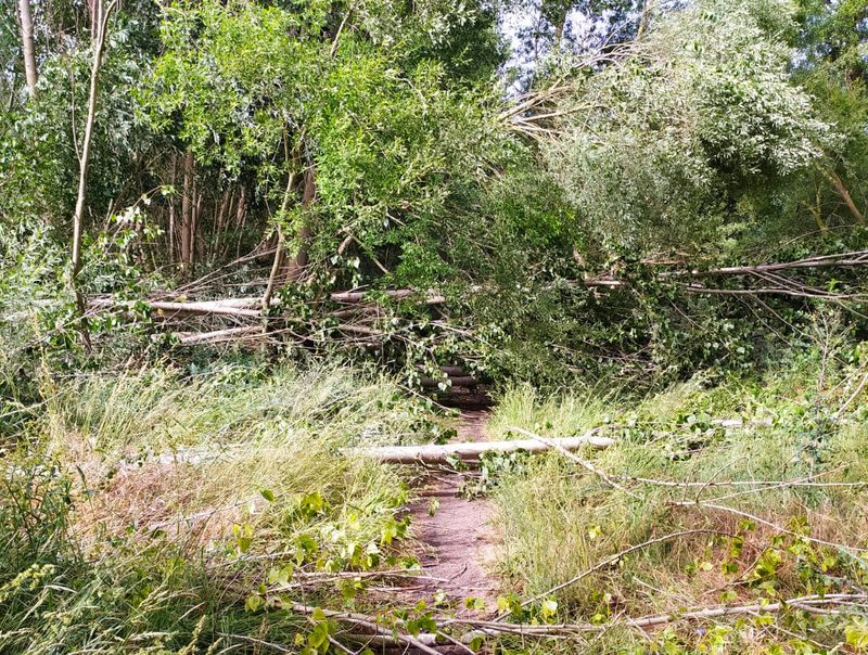 La fuerte tormenta del miércoles corta el Camino de las Aceñas