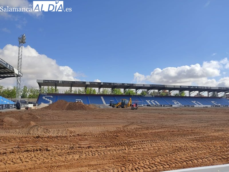 Más color para un Reina Sofía que espera a la hierba natural con el avance de las obras