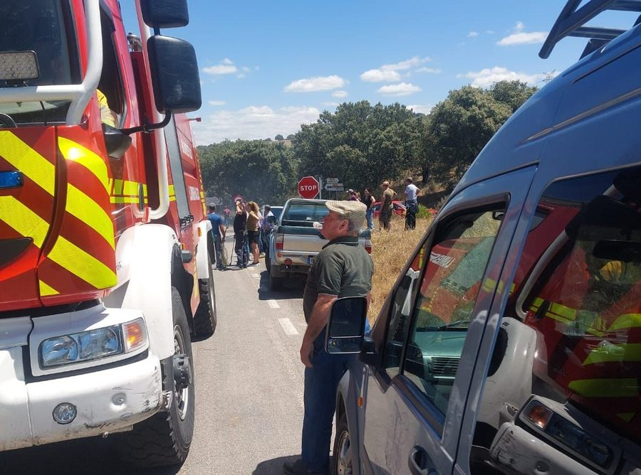 Controlado un incendio forestal en Hinojosa de Duero