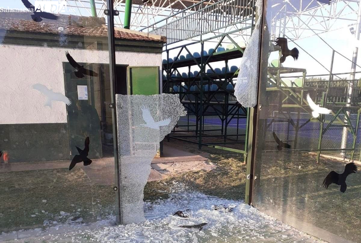 La pista de pádel vuelve a ser objetivo de los vándalos